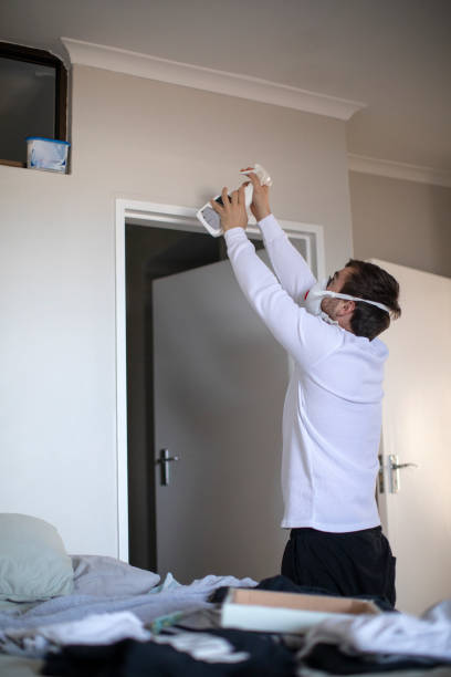 Best Emergency Mold Remediation  in Kingsford, MI