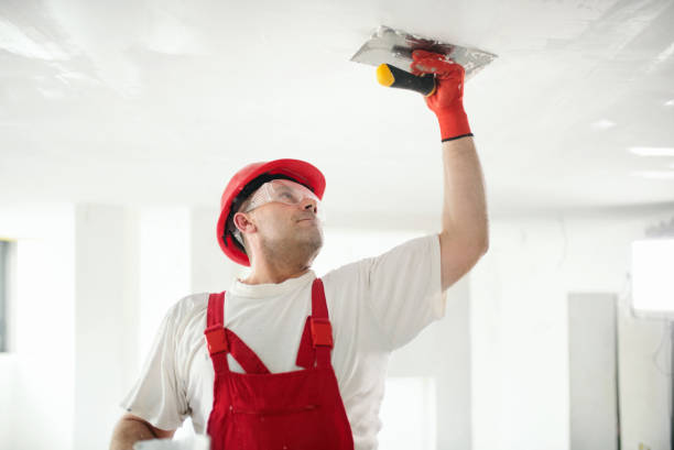 Best Forensic Mold Investigation  in Kingsford, MI