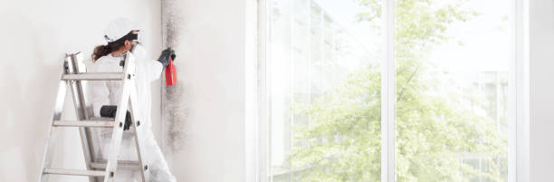 Best Biohazard Mold Removal  in Kingsford, MI