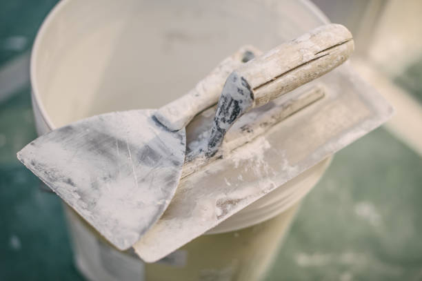 Kingsford, MI Mold Removal Company