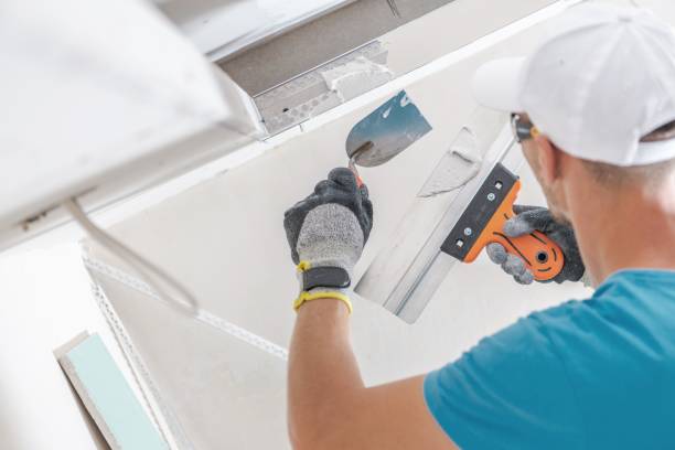 Best Real Estate Mold Inspection  in Kingsford, MI